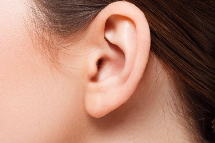 Người có dái tai dài có sức khỏe và tuổi thọ co